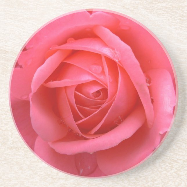 Pink Rose Coasters Pink Rose Gifts Keepsake Decor (Front)