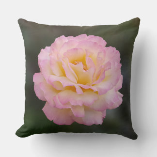 pink rose cushion