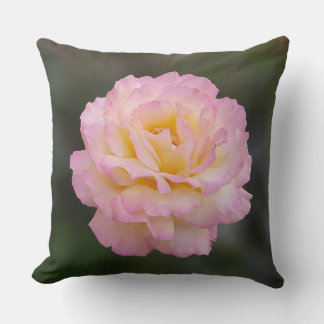 pink rose cushion