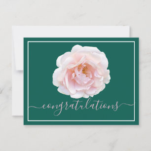 Pink Rose Cyan Background Congratulations Postcard