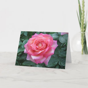 "Pink Rose" Easter Card