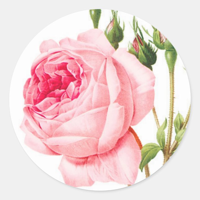 Pink Rose Envelope Stickers (Front)