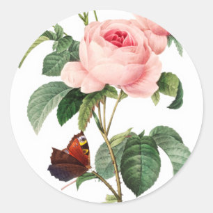Pink Rose Envelope Stickers