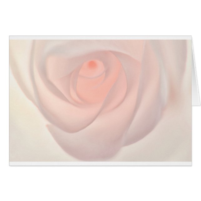 Pink Rose Eye (Front Horizontal)