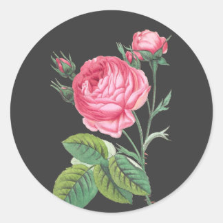 Pink rose floral modern classic round sticker