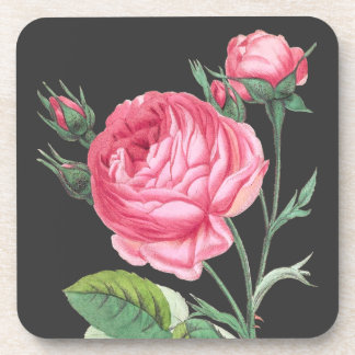 Pink rose floral modern coaster