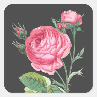 Pink rose floral modern square sticker