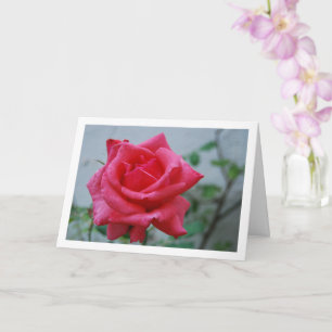 Pink Rose Floral Portrait Card