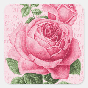 Pink rose floral vintage square sticker