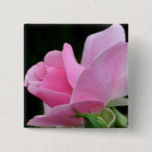 Pink Rose Flower 15 Cm Square Badge