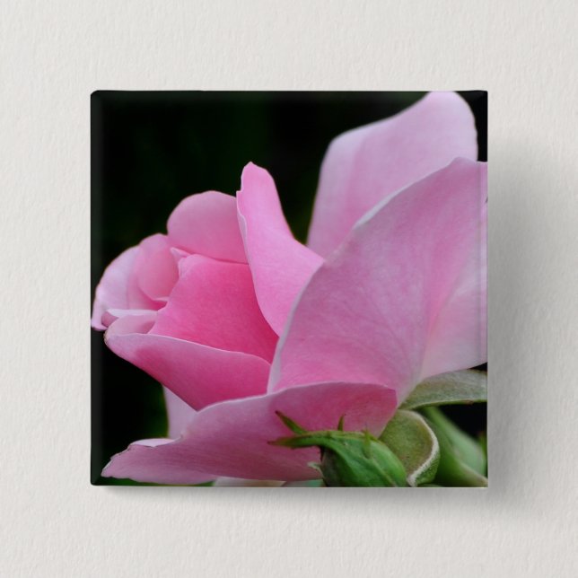 Pink Rose Flower 15 Cm Square Badge (Front)