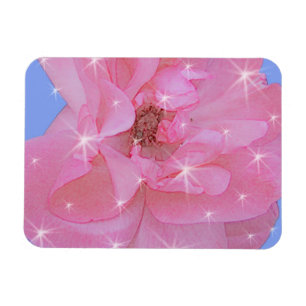 pink rose flower and sparkling stars magnet