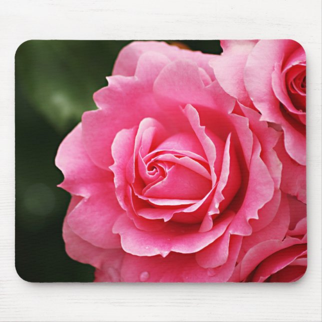 Pink Rose Flower Bloom Mouse Mat (Front)