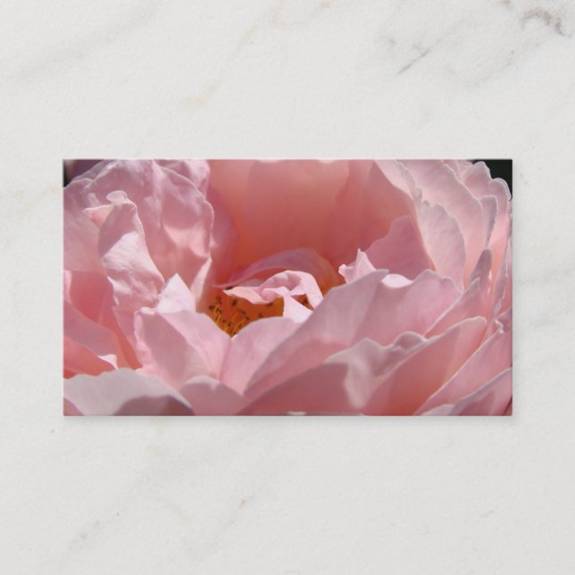 Pink Rose Flower Business Cards Floral (Front)