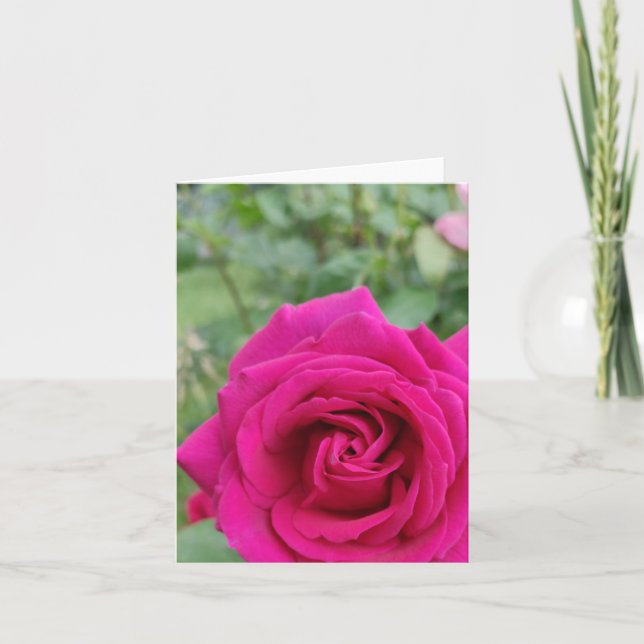 Pink rose flower card (Front)