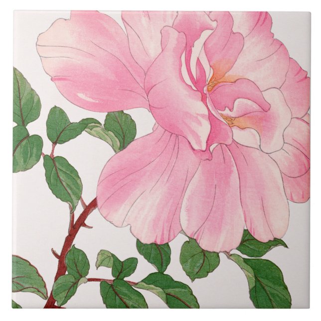 Pink Rose Flower & Green Leaves Tile (Front)