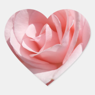 Pink Rose Flower Heart Sticker