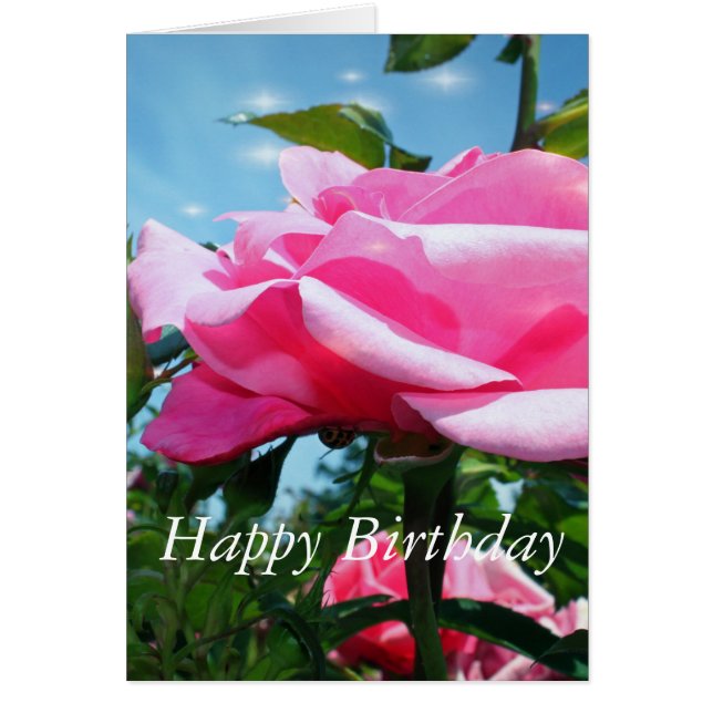 pink rose flower in blue sky. Happy birthday (Front)