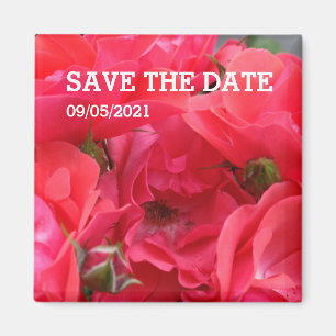 Pink rose flower magnet