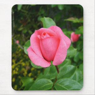 pink rose flower mouse mat