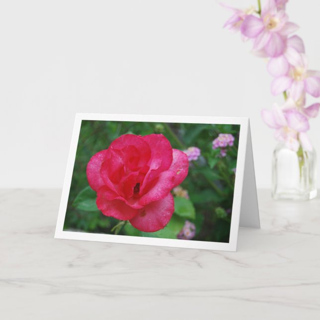 Pink Rose Flower Portrait Card (Orchid)