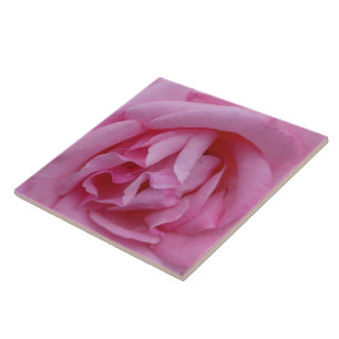 Pink rose flower tile