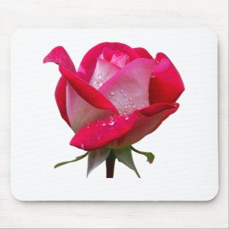pink rose flower with water drops floral vintage mouse mat