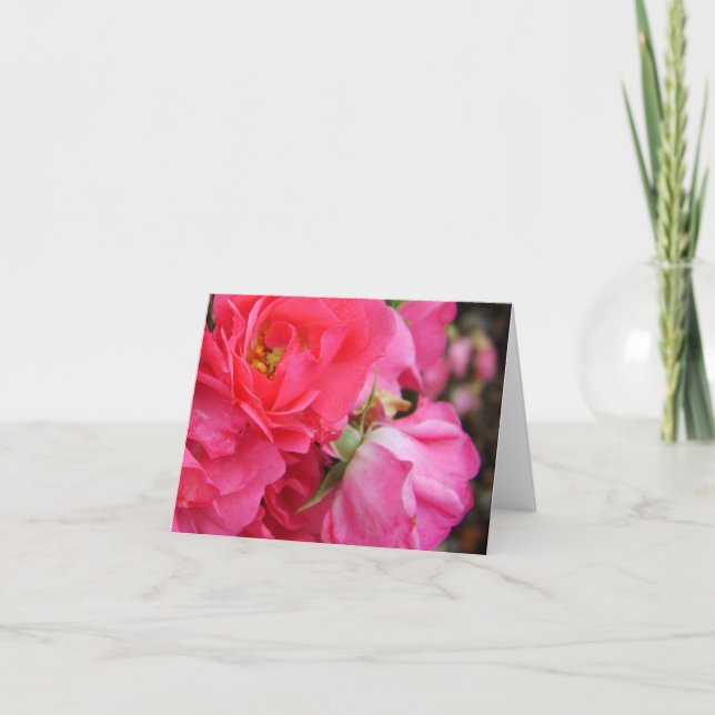 Pink rose flowers blank greeting card (Front)