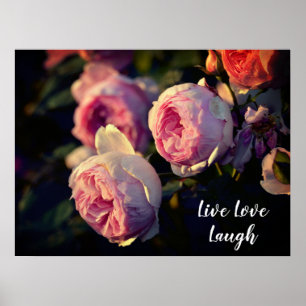 Pink Rose Flowers From the Garden Poster