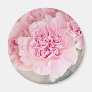 Pink Rose Flowers Magnet