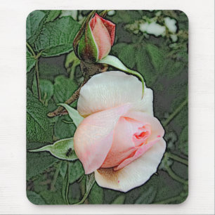 pink rose flowers mouse mat
