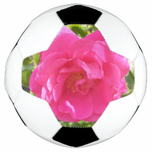 Pink Rose Football