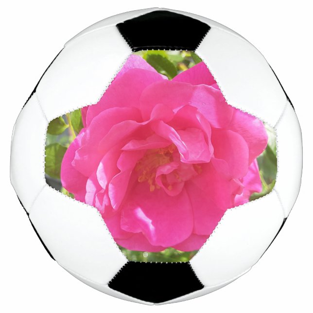 Pink Rose Football (Front)