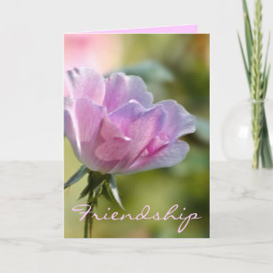Pink Rose Friendship Card
