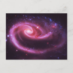 Pink Rose Galaxies Postcard