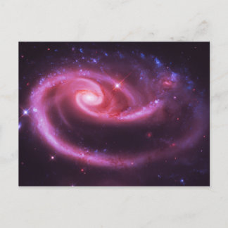 Pink Rose Galaxies Postcard