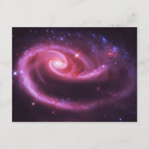 Pink Rose Galaxies Postcard