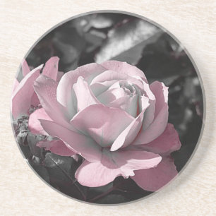 Pink Rose Garden Coaster