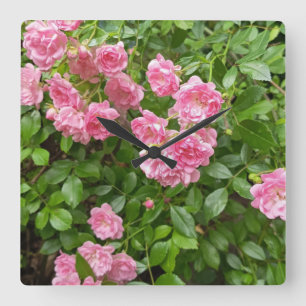 Pink Rose Garden Floral Clock