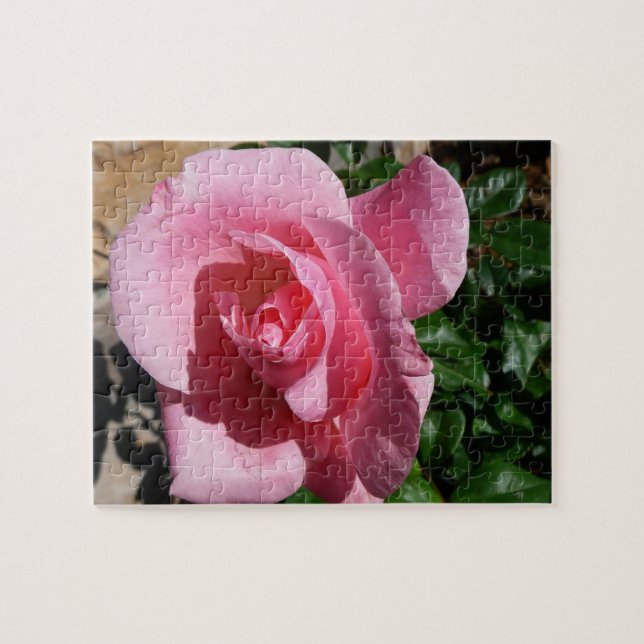 Pink Rose Garden Floral Jigsaw Puzzle (Horizontal)