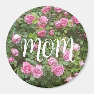 Pink Rose Garden Mum  Magnet