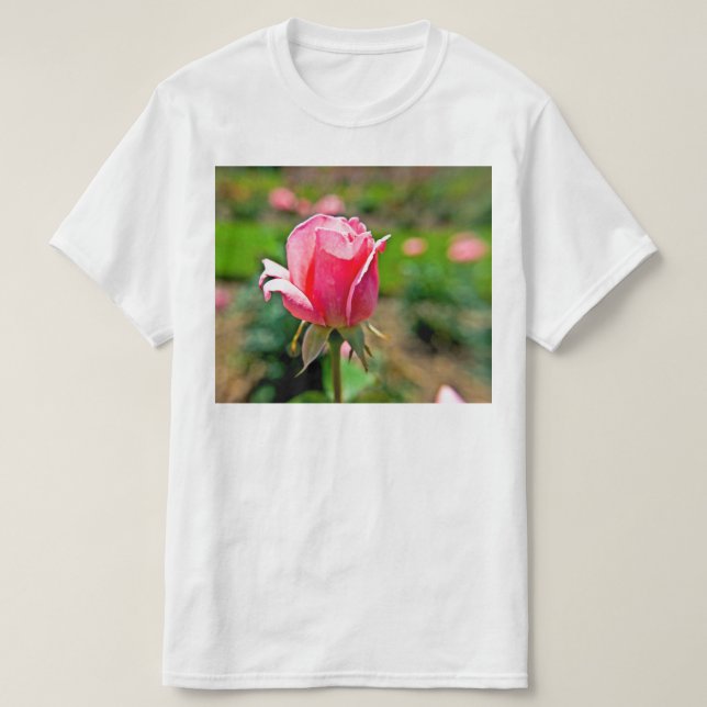 Pink Rose Garden T-Shirt (Design Front)