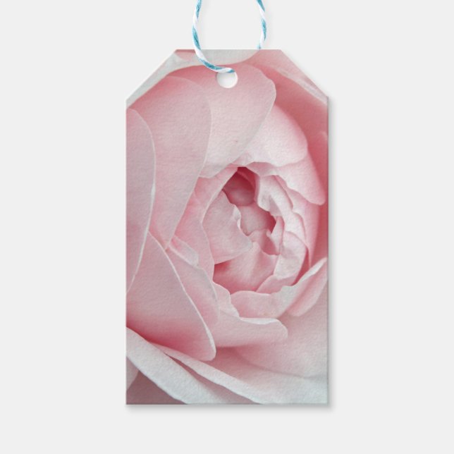 Pink Rose Gift Tag (Front)
