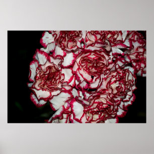 Pink rose gold square mosaic tiles for texture bac poster