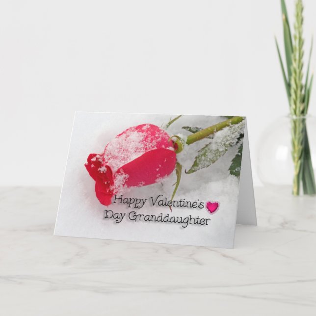 Pink Rose Granddaughter Valentine Holiday Card (Front)