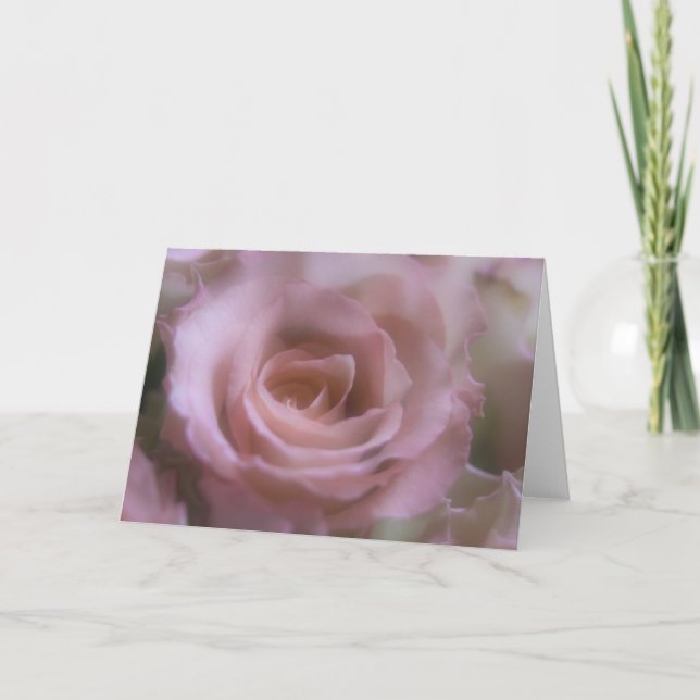 Pink Rose - Greeting Card (Front)