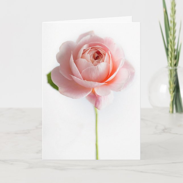 Pink Rose Greeting Card (Front)