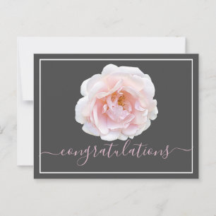 Pink Rose Grey Background Congratulations  Postcard