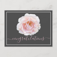 Pink Rose Grey Background Congratulations
