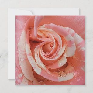 Pink rose heart with dewdrops card